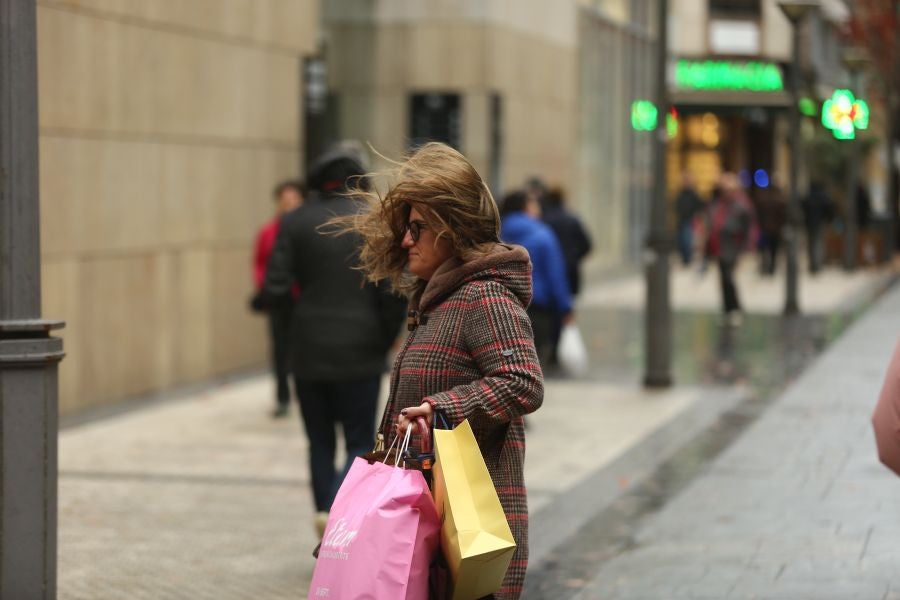 El viento ha provocado numerosos daños materiales en Gipuzkoa, especialmente en Donostia, con árboles y andamios caídos por toda la ciudad.
