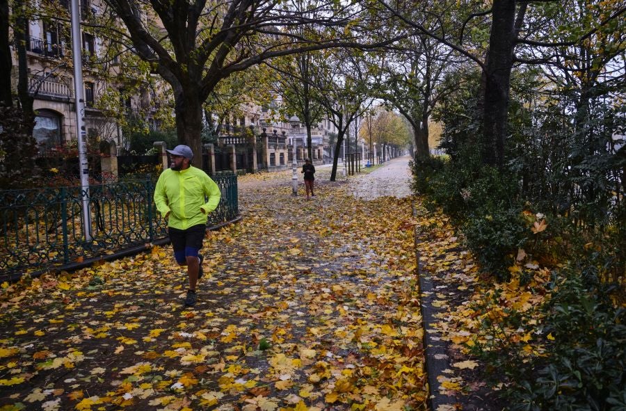 El viento ha provocado numerosos daños materiales en Gipuzkoa, especialmente en Donostia, con árboles y andamios caídos por toda la ciudad.