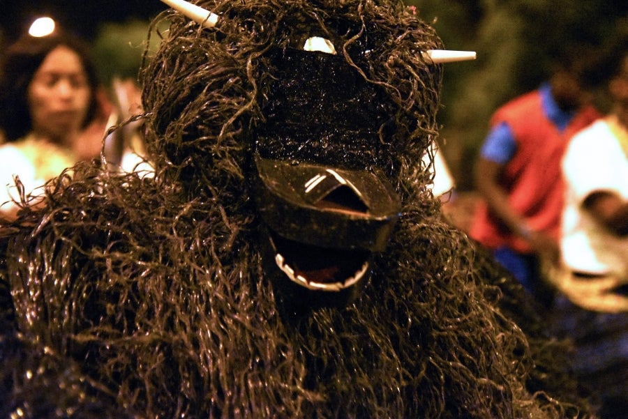 Fotos: Primer carnaval de Dakar