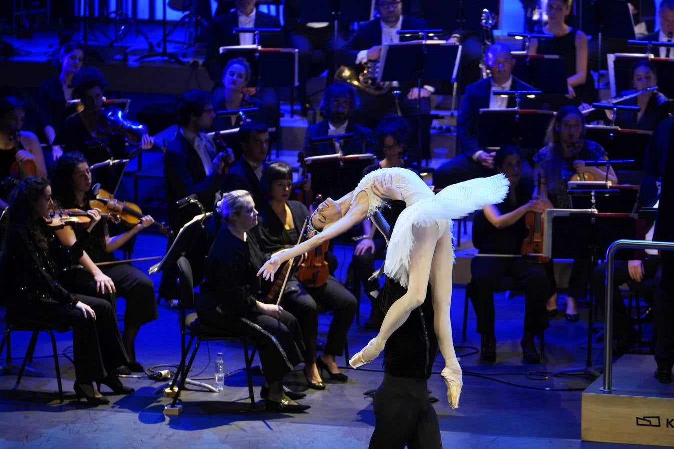 Éxito en una gala para celebrar las dos décadas de vida de los 'cubos'.