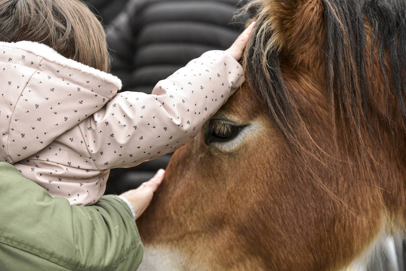 Fotos: Multitudinaria feria de Santa Lucía en Zumarraga y Urretxu