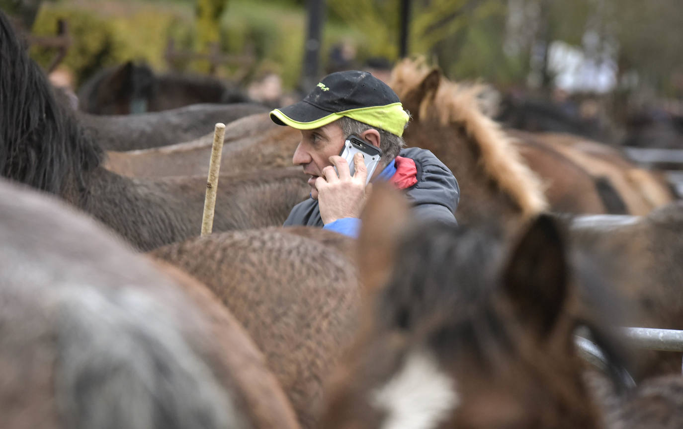 Fotos: Multitudinaria feria de Santa Lucía en Zumarraga y Urretxu