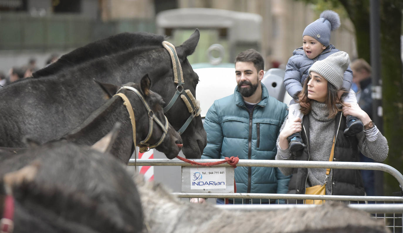 Fotos: Multitudinaria feria de Santa Lucía en Zumarraga y Urretxu
