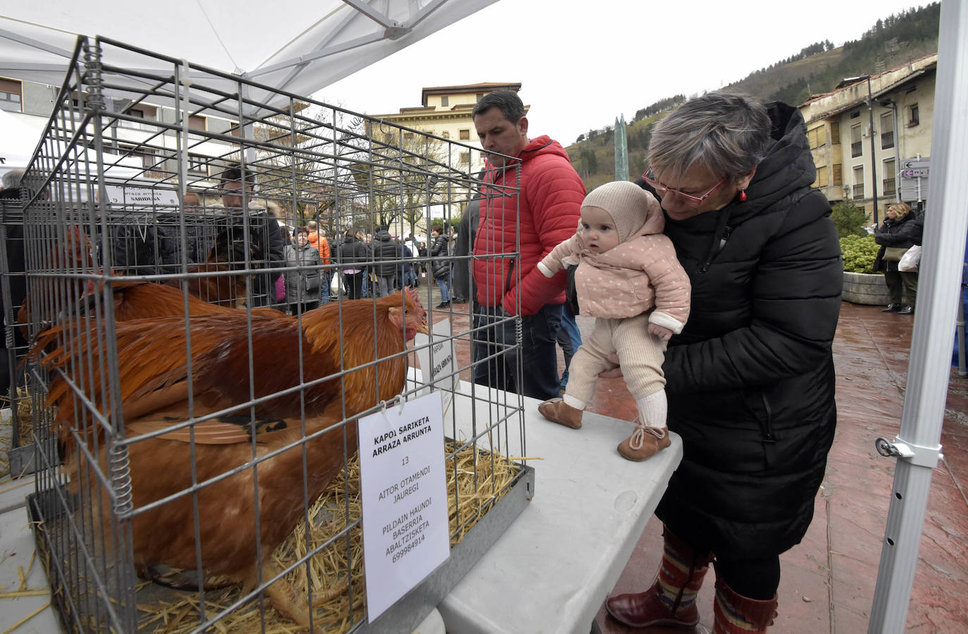 Fotos: Multitudinaria feria de Santa Lucía en Zumarraga y Urretxu