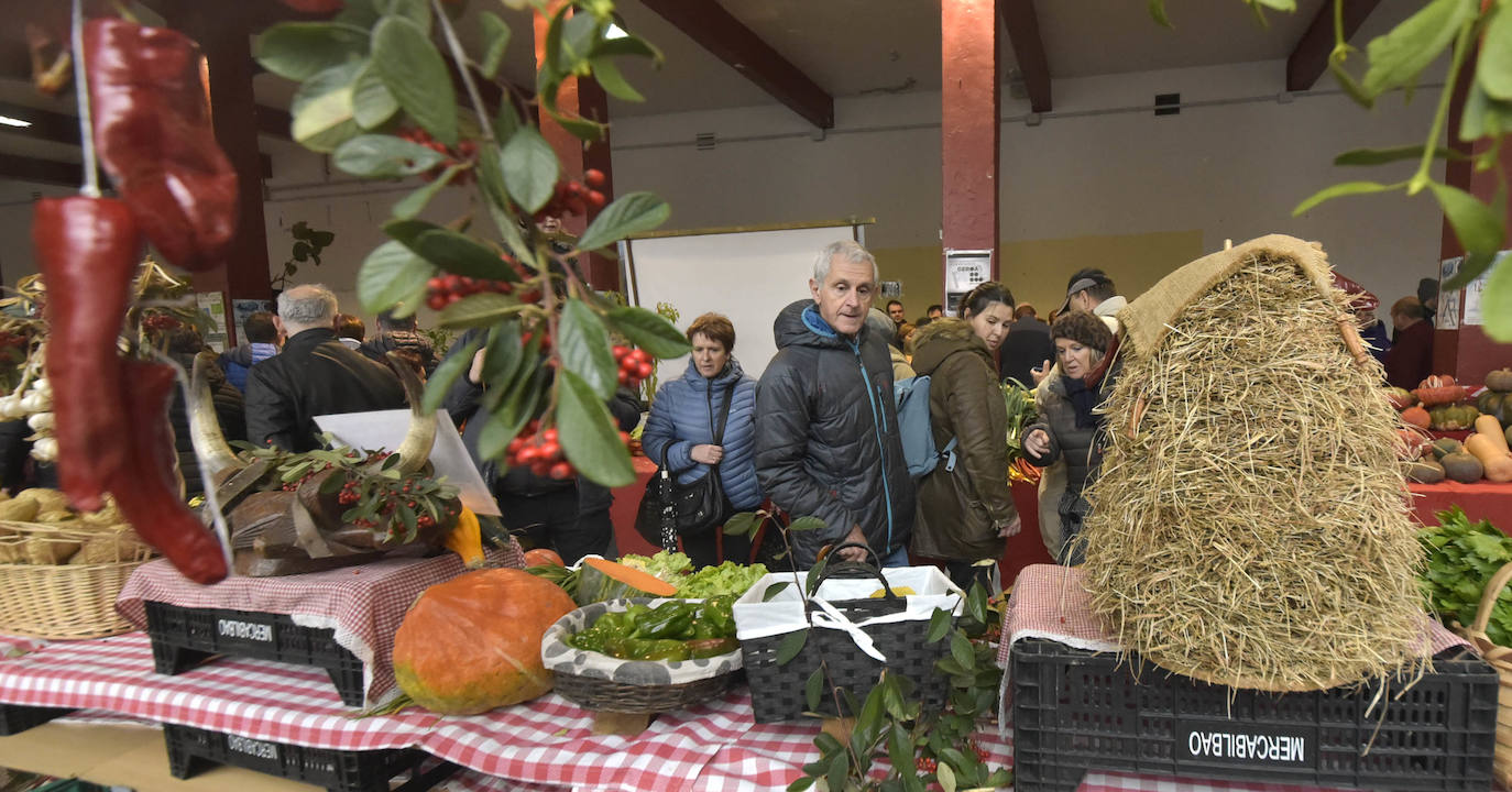 Fotos: Multitudinaria feria de Santa Lucía en Zumarraga y Urretxu