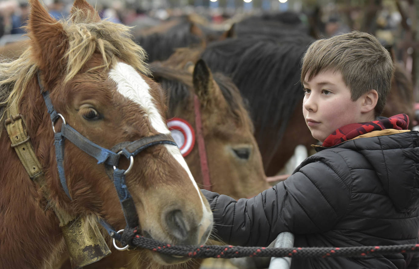 Fotos: Multitudinaria feria de Santa Lucía en Zumarraga y Urretxu
