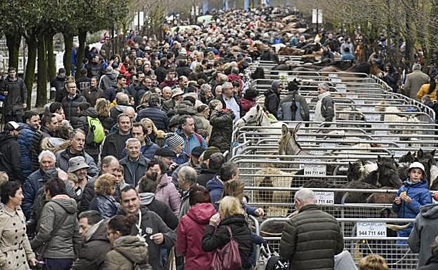 Los caballos ganan protagonismo en la feria de Santa Lucia de Zumarraga y Urretxu