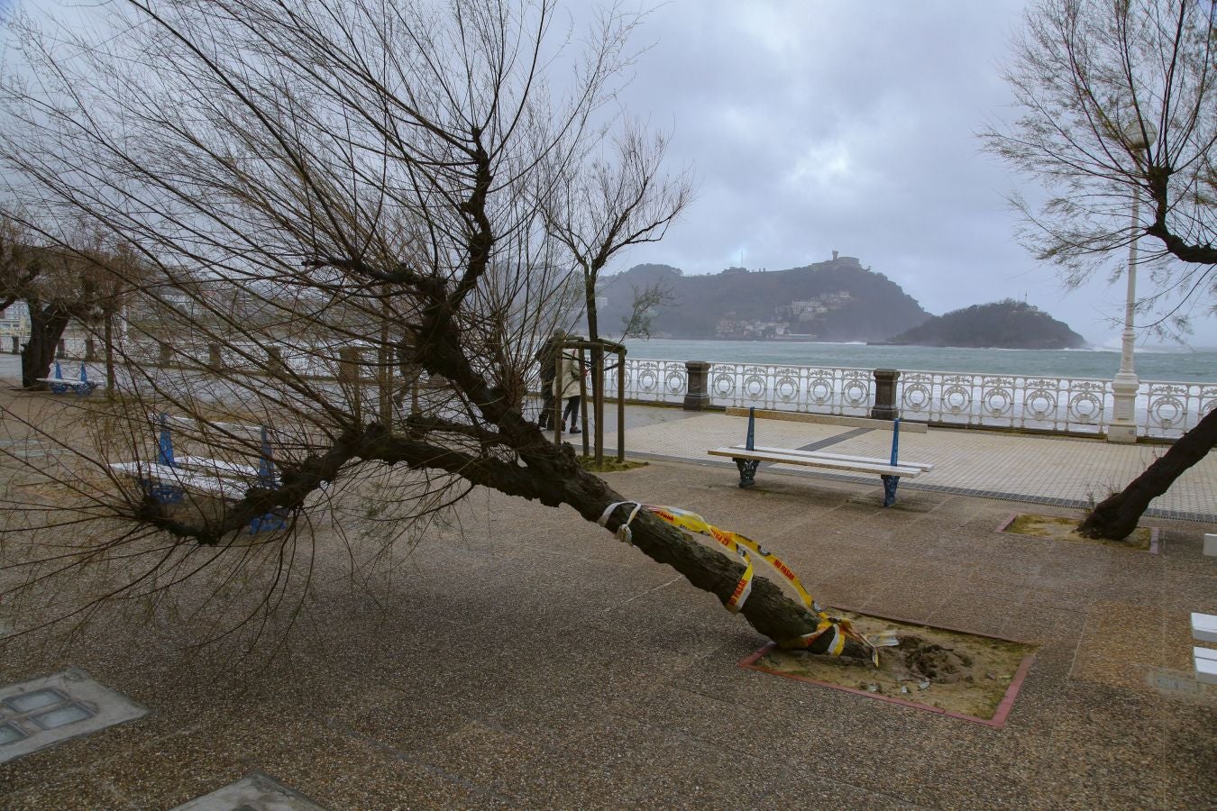 Las rachas de viento alcanzan los 135 km/ h y provocan numerosas incidencias