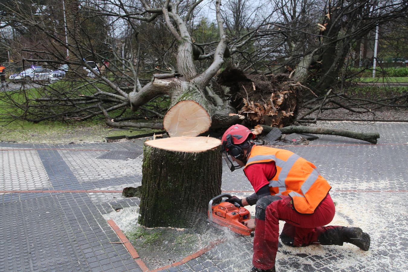 Las rachas de viento alcanzan los 135 km/ h y provocan numerosas incidencias