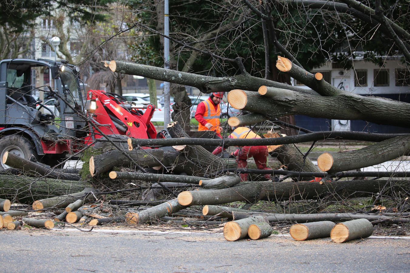 Las rachas de viento alcanzan los 135 km/ h y provocan numerosas incidencias