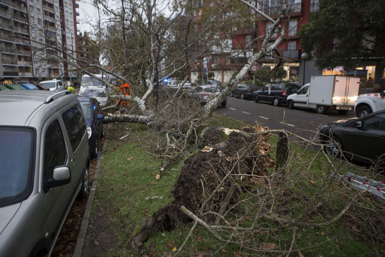 Las rachas de viento alcanzan los 135 km/ h y provocan numerosas incidencias