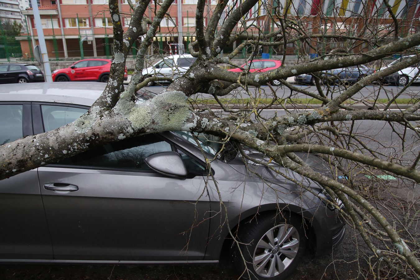 Las rachas de viento alcanzan los 135 km/ h y provocan numerosas incidencias