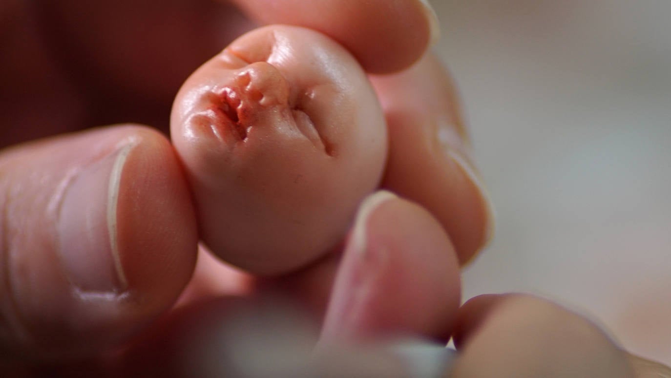 Fotos: Esculturas que no dejan indiferente a nadie