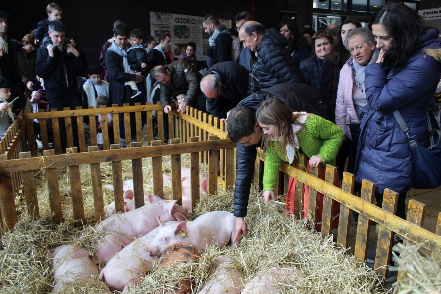 Los talos y las txistorras han tomado las calles de Azpeitia convirtiéndose los protagonistas indiscutibles. 