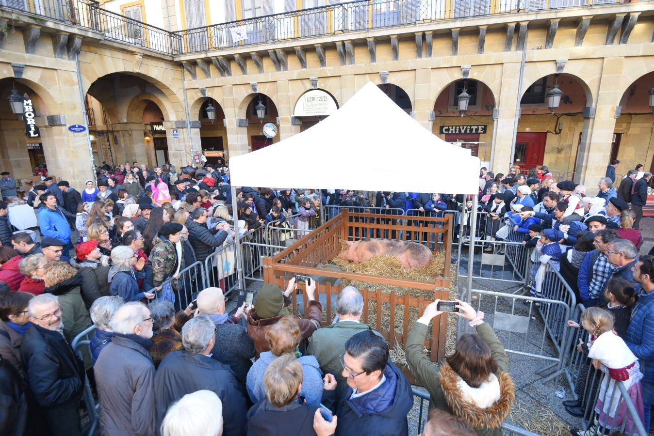 Los donostiarras han madrugado para ir a la feria desde primera hora de la mañana para ver a los animales en la Plaza Okendo y a la cerda en la Constitución