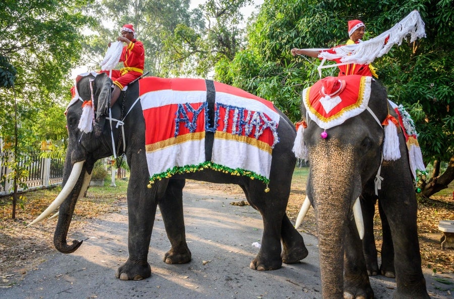 Un mahout entrena a su elefante, vestido con un disfraz de Papá Noel, antes de la presentación que harán ambos delante de los escolares, a modo de celebración navideña en Ayutthaya. 