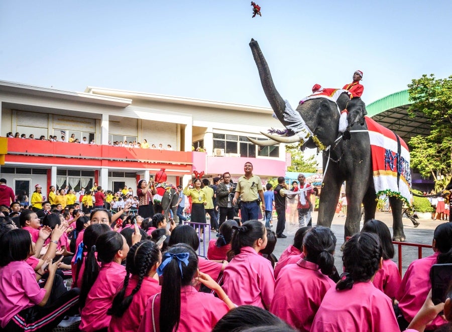 Un mahout entrena a su elefante, vestido con un disfraz de Papá Noel, antes de la presentación que harán ambos delante de los escolares, a modo de celebración navideña en Ayutthaya. 