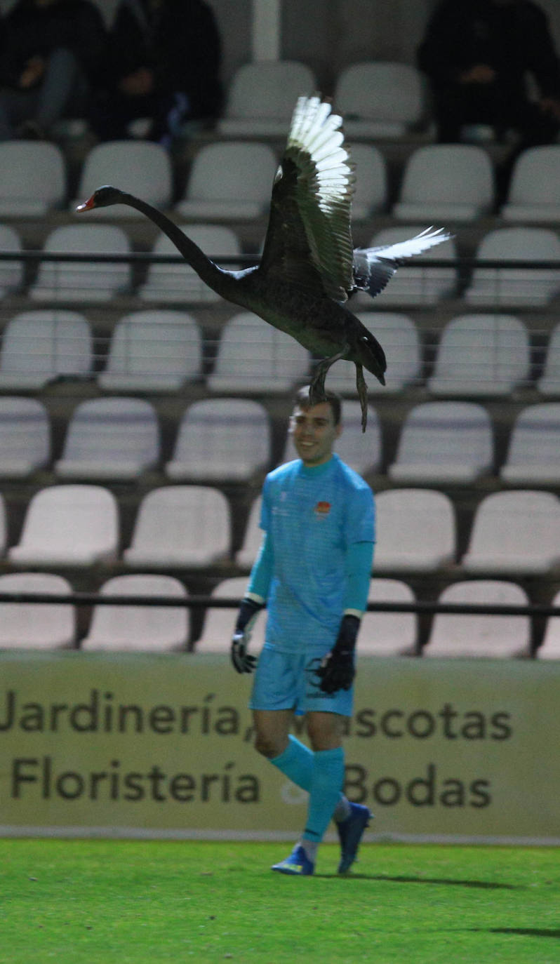 on dos claras ocasiones ha comenzado el Real Unión su choque de la última jornada de la primera vuelta ante el Haro. En el minuto 6, Galán ganaba línea de fondo y la cedía atrás para Eneko, que remataba ligeramente desviado a la derecha de Sobrón. La nota curiosa de la tarde la puso la presencia de un cisne en la segunda parte, que mantuvo detenido el choque varios minutos.