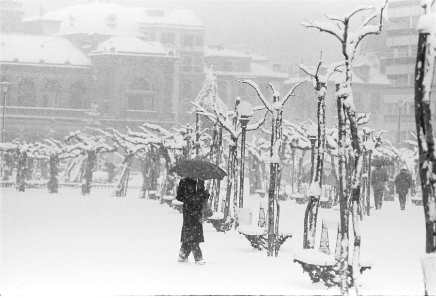 El parque de Alderdi Eder cubierto por una espesa capa de nieve