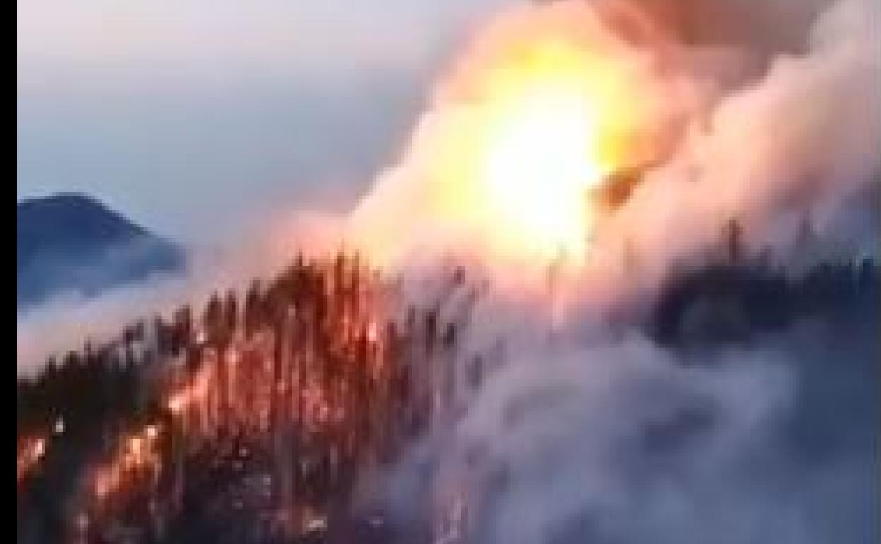 Imagen de vídeo del incendio de Azkoitia.