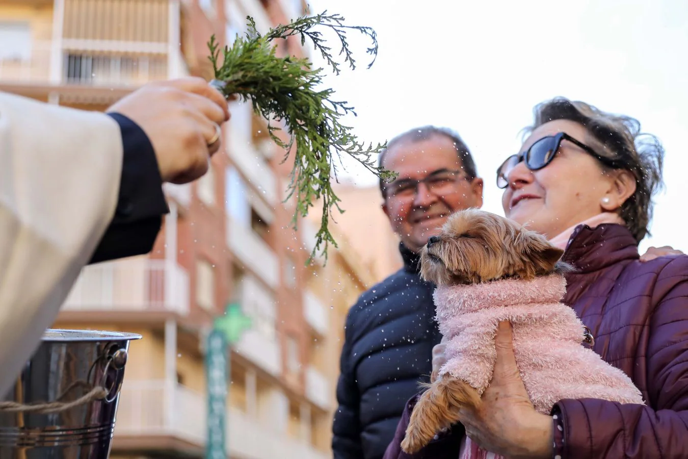 Perros, gatos, ratones... y hasta un búho han recibido la bendición de San Antón. patrón de los animales, en la madrileña parroquia de San Antón