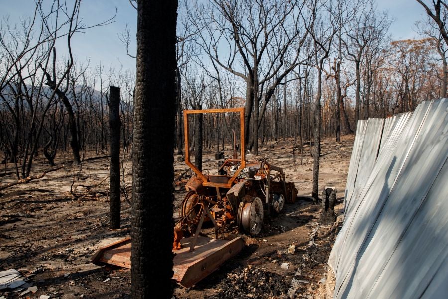 Fotos: los incendios han arrasado gran parte de Kangaroo Valley, en Australia
