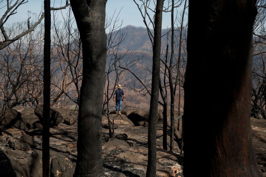 Fotos: los incendios han arrasado gran parte de Kangaroo Valley, en Australia