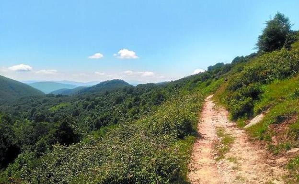 Camino abierto en el Parque Natural de Aralar que sube hasta Doniturrieta