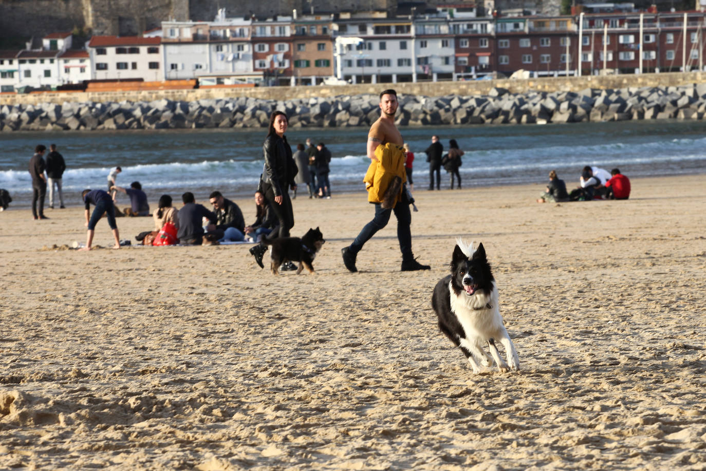 Gipuzkoa ha estrenado el mes de febrero con un tiempo más propio del verano que del invierno. El sol y las agradables temperaturas han invitado a la playa o al monte.