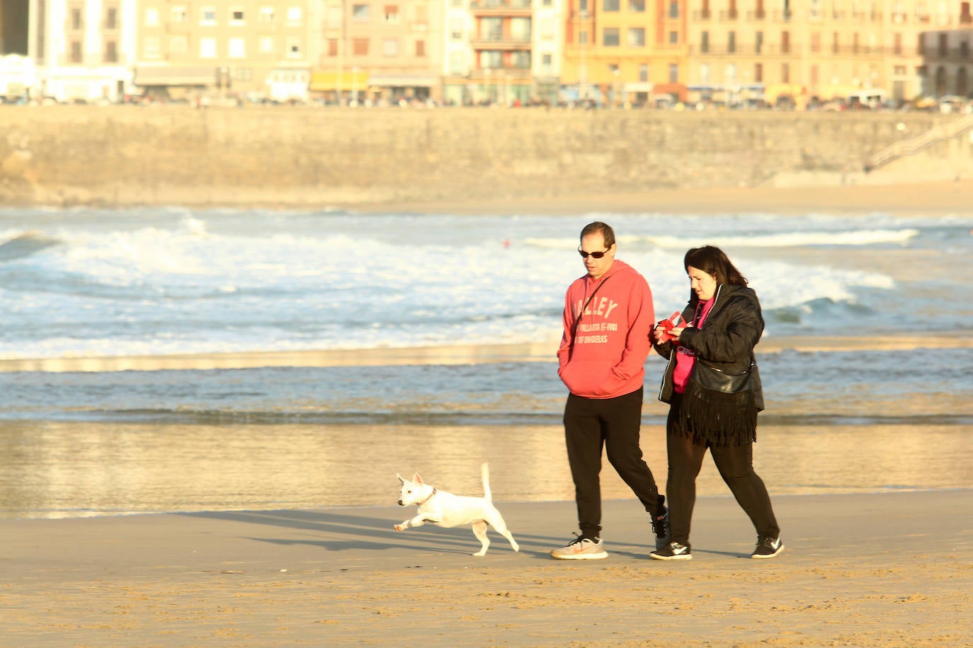 Gipuzkoa ha estrenado el mes de febrero con un tiempo más propio del verano que del invierno. El sol y las agradables temperaturas han invitado a la playa o al monte.