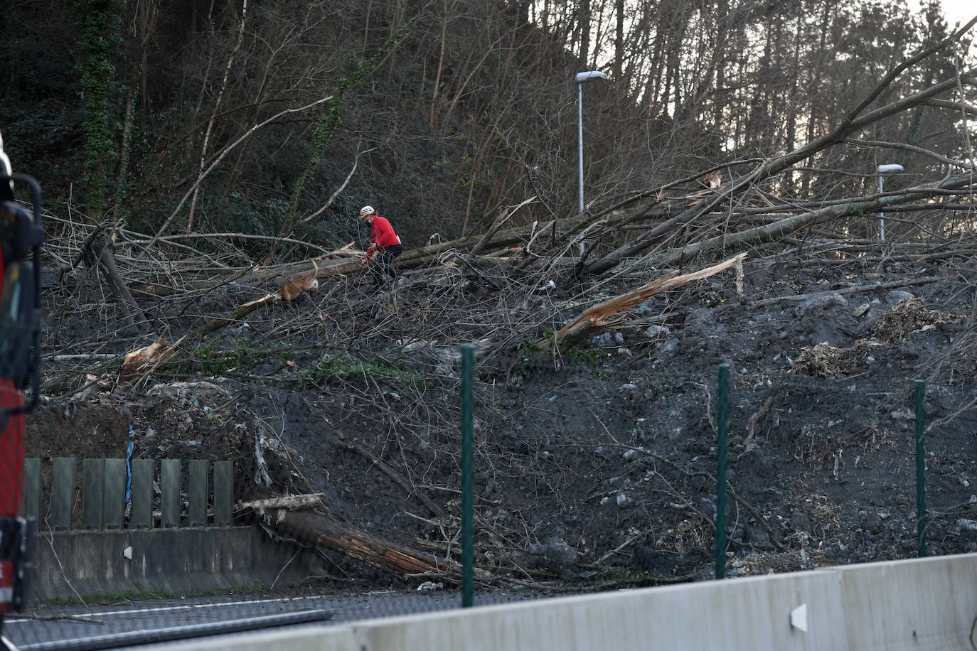 Un desprendimiento de tierras ha provocado la caída de un árbol de grandes dimensiones sobre la calzada y ha obligado a cortar la AP-8.