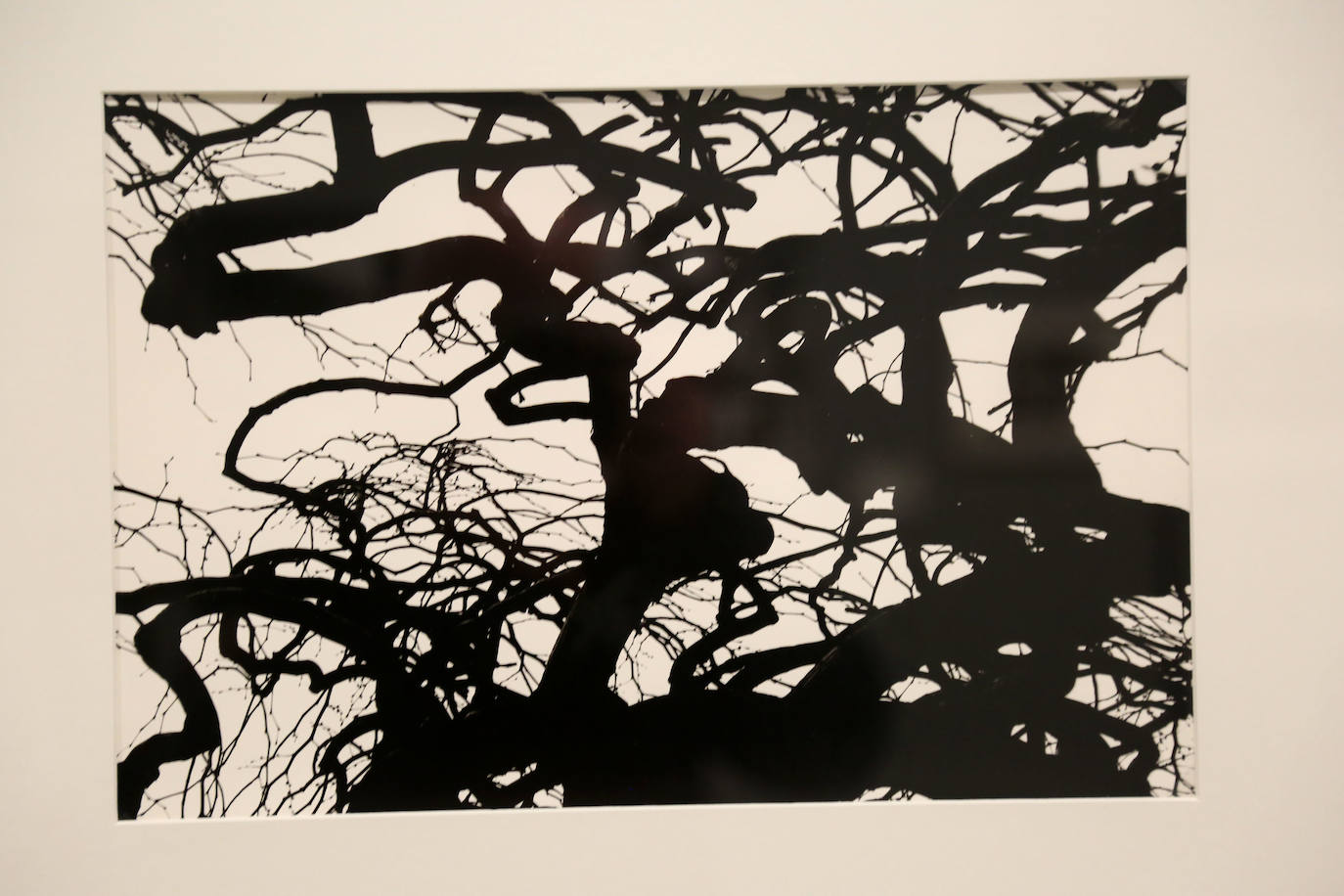 Todas las series en las que Antton Elizegi ha plasmado su trabajo están representadas en una exposición que recoge la mirada, muy personal, que ha dirigido al entorno.