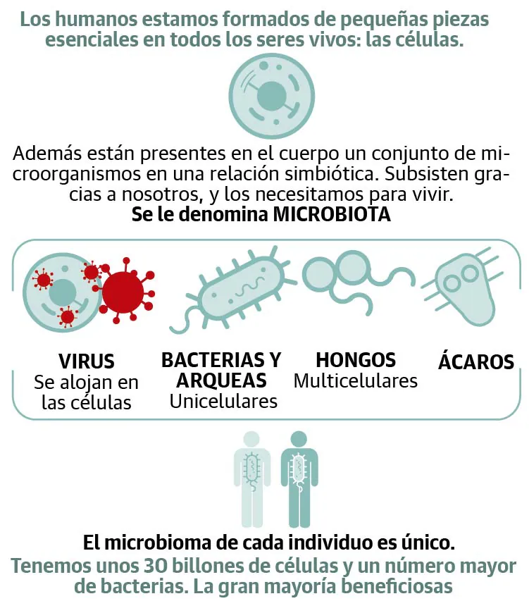 La Microbiota | El Diario Vasco