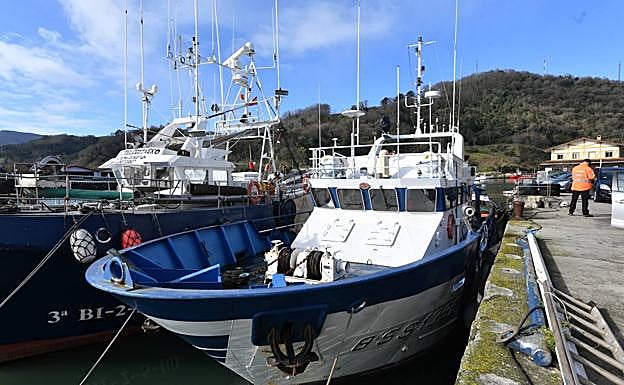 El pesquero 'Ortze'.