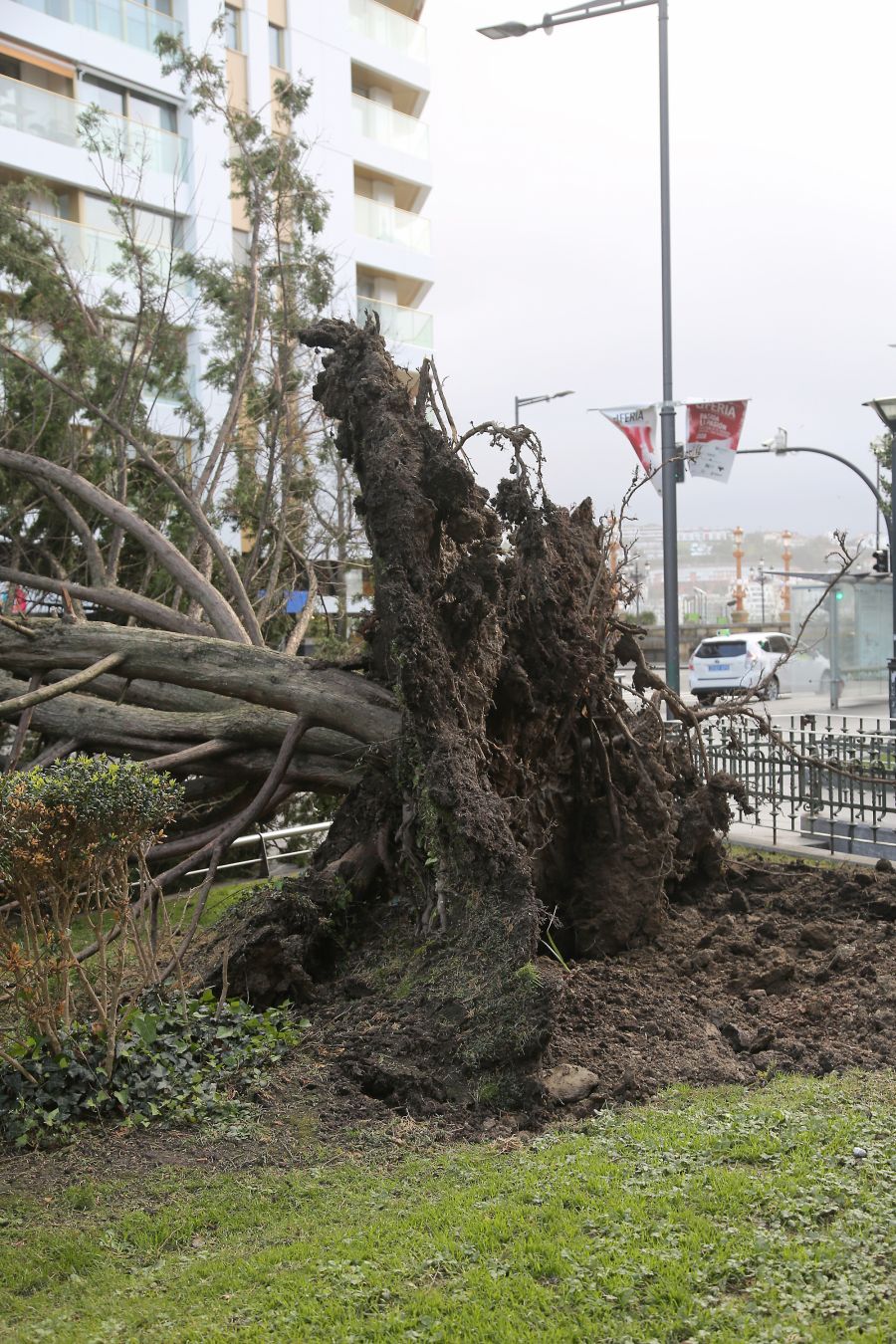 El temporal continúa azotando la costa, con fuerte oleaje y rachas de viento muy potentes que han alcanzado los 128 kilómetros por hora en zonas costeras, lo que han provocado afecciones.