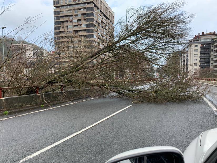 El temporal continúa azotando la costa, con fuerte oleaje y rachas de viento muy potentes que han alcanzado los 128 kilómetros por hora en zonas costeras, lo que han provocado afecciones.