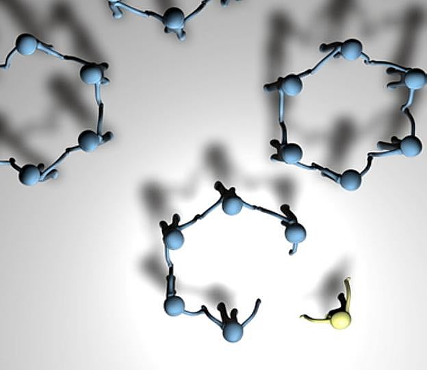¿Dónde queda la solidaridad?