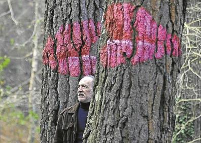 Imagen secundaria 1 - Adiós al viejo bosque