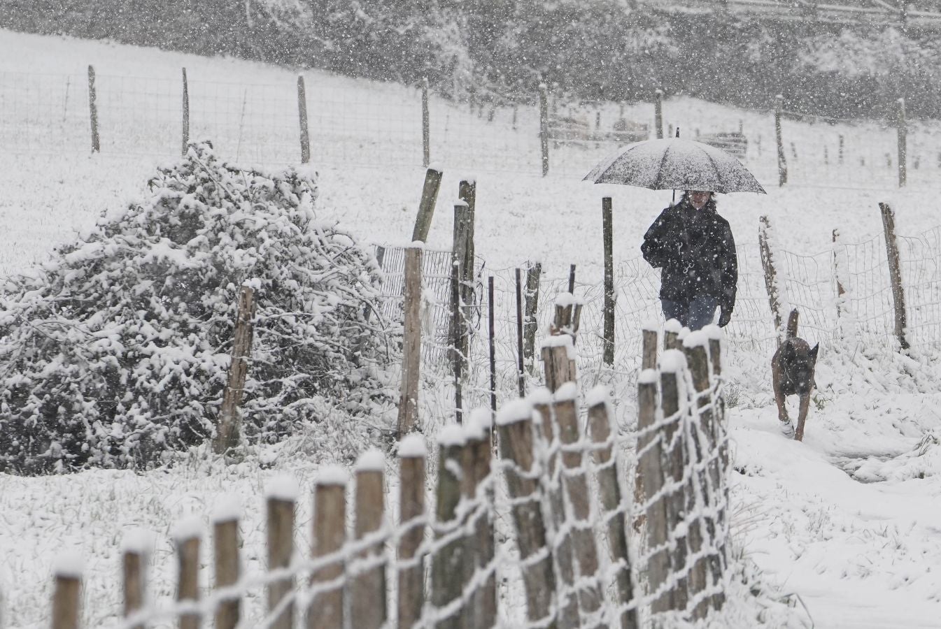 La nieve llega a Gipuzkoa