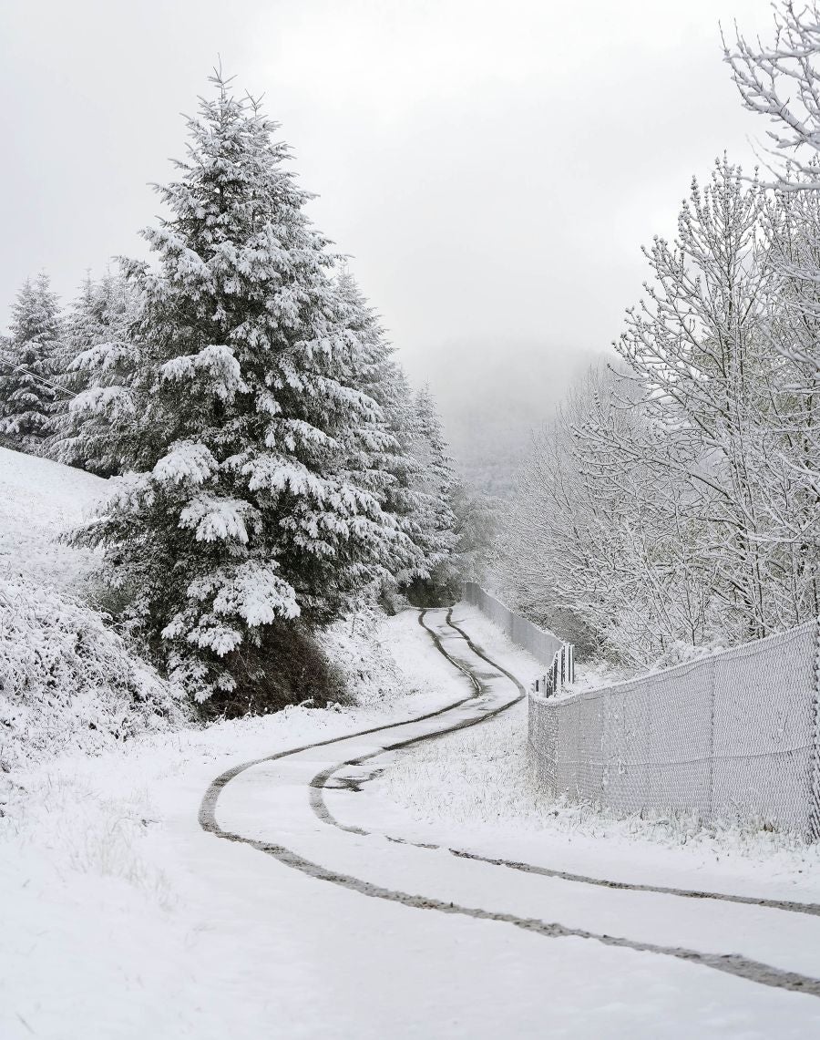 La nieve llega a Gipuzkoa