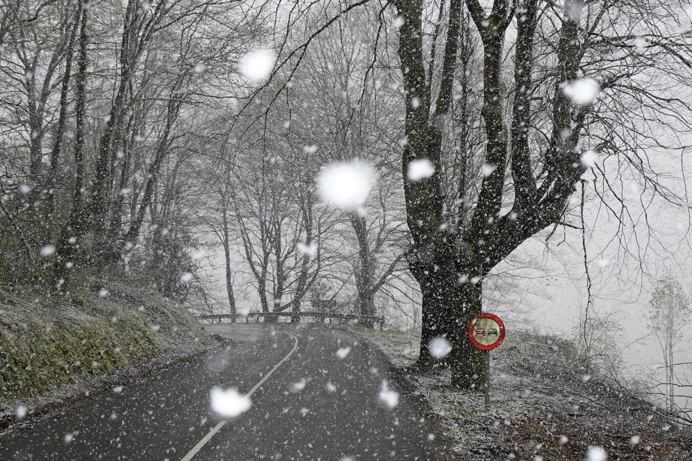 La nieve llega a Gipuzkoa