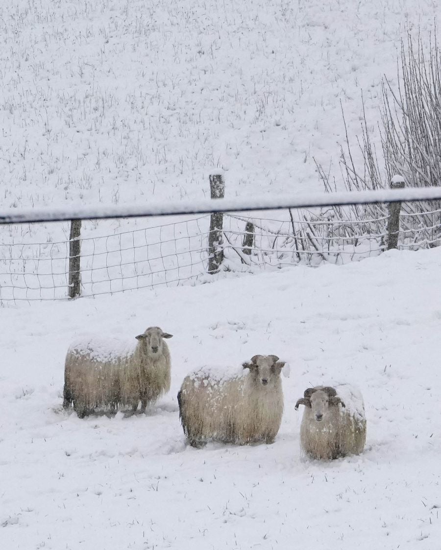 La nieve llega a Gipuzkoa