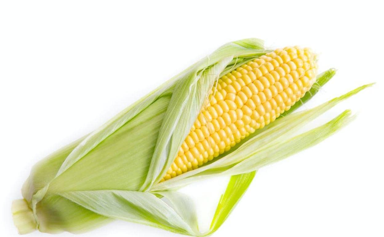 Qué es la maicena y en qué se diferencia de la harina de maíz? | El Diario  Vasco