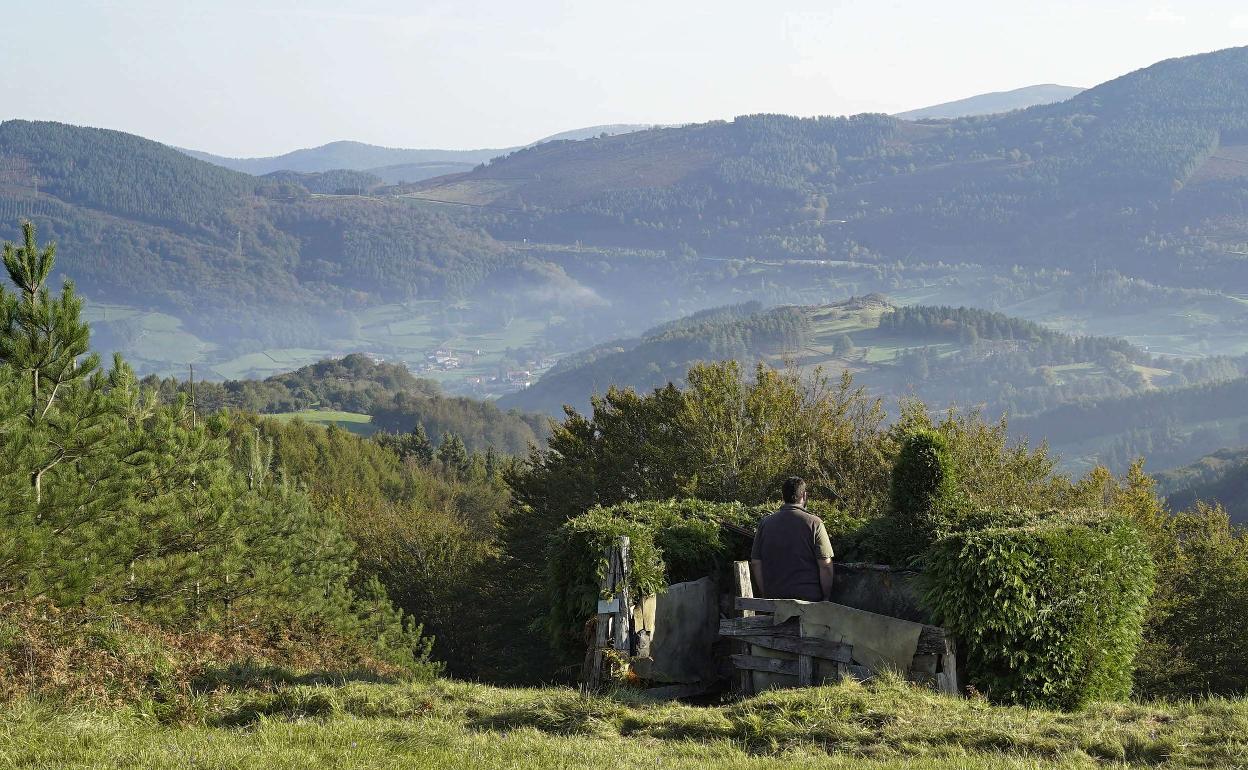 Asturias y Extremadura madrugan con las órdenes de veda