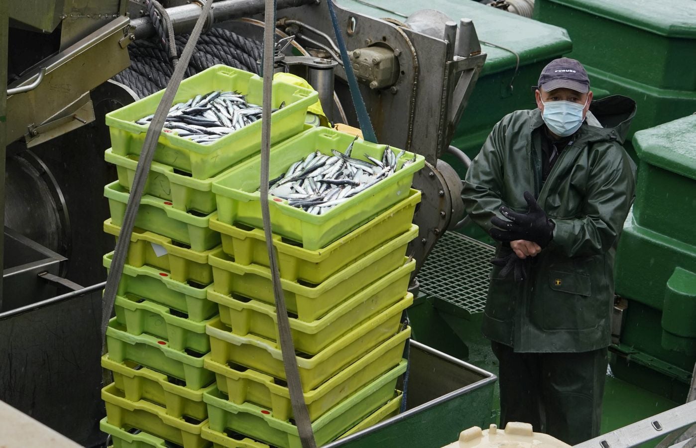 En lonja se ha abonado a 2,65 euros el kilo