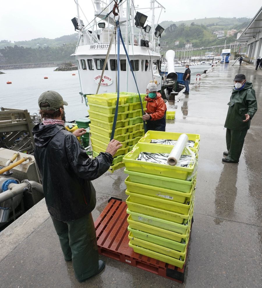 En lonja se ha abonado a 2,65 euros el kilo