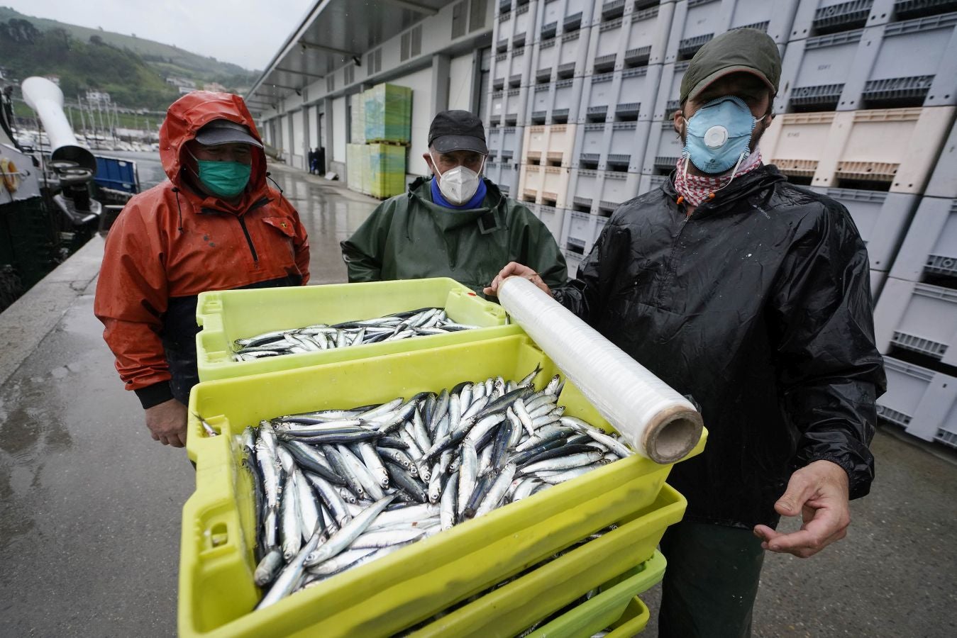 En lonja se ha abonado a 2,65 euros el kilo