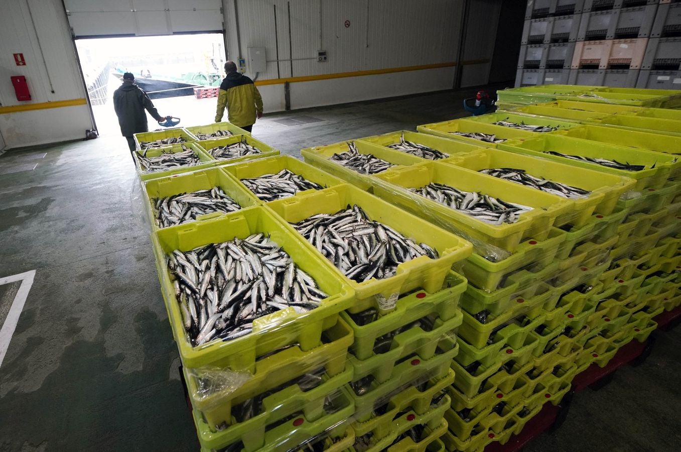 En lonja se ha abonado a 2,65 euros el kilo