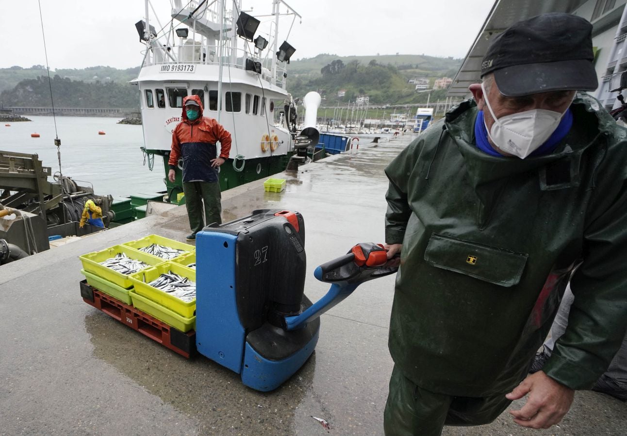 En lonja se ha abonado a 2,65 euros el kilo