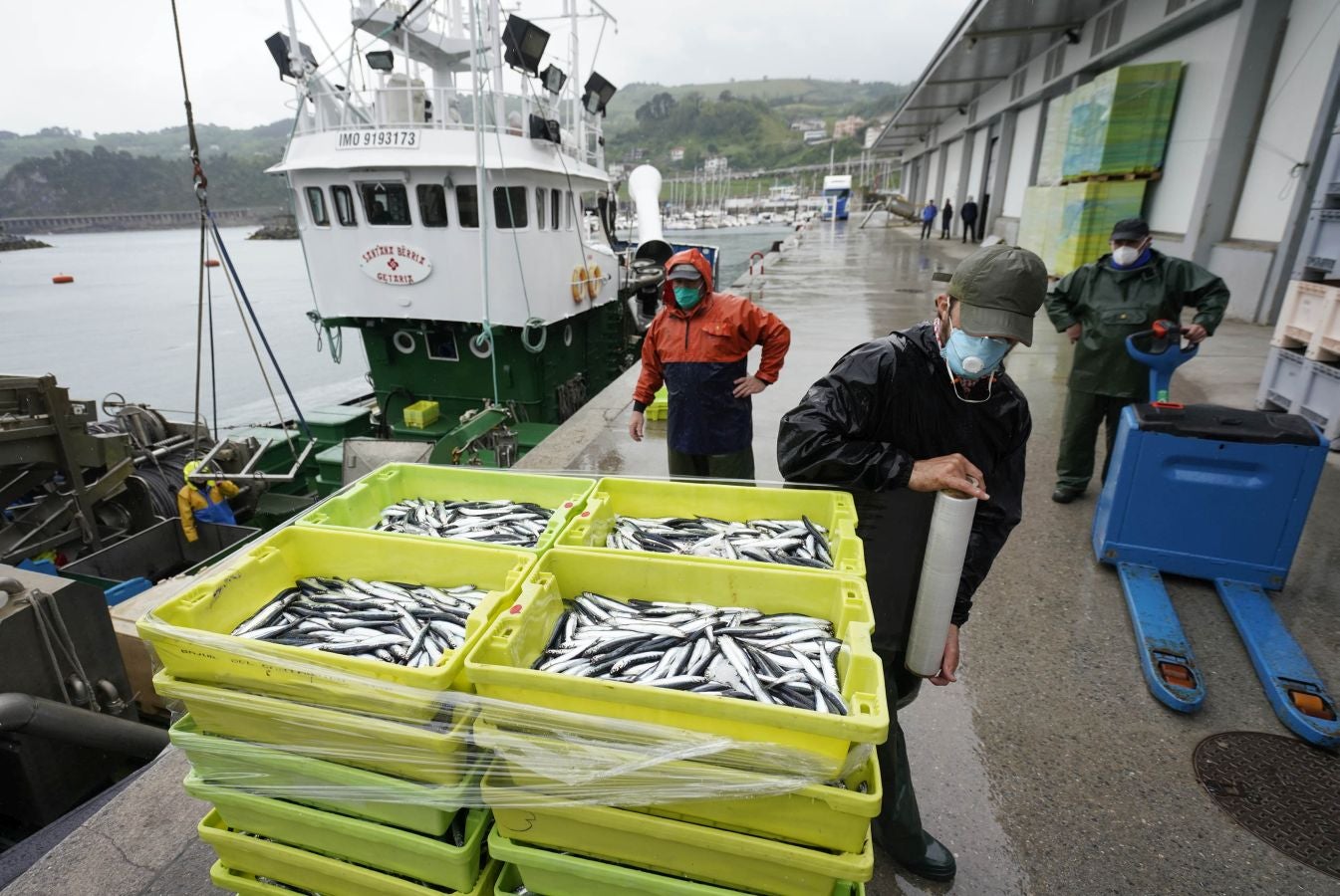 En lonja se ha abonado a 2,65 euros el kilo